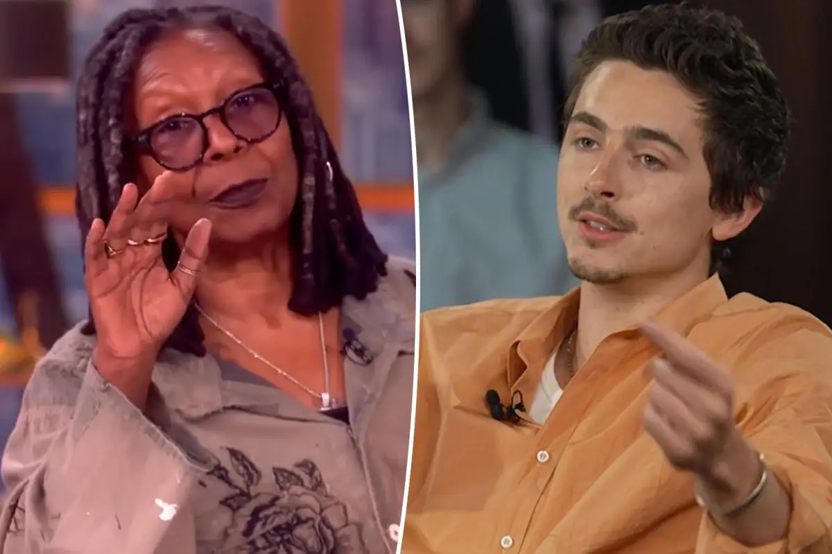 'The View' co-hosts drag 'vapid' Timothée Chalamet after his ballet and opera diss